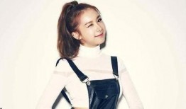 娱乐圈爆料花姐的明星,揭秘明星背后的惊人真相